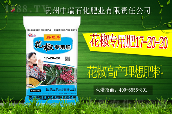     ����ʯ���ʘI(y��)�𱬁��u���ٺ����r(n��ng)�����̾W(w��ng)���_��(chu��ng)���x����