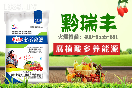     ����ʯ���ʘI(y��)�𱬁��u���ٺ����r(n��ng)�����̾W(w��ng)���_��(chu��ng)���x�ͣ�