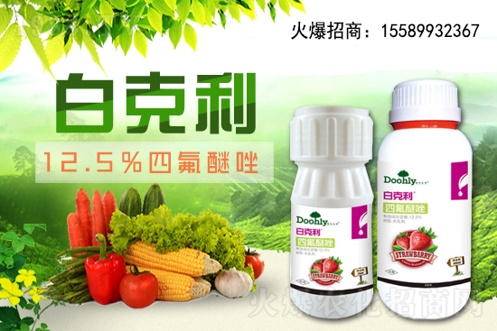 ���|���m(x��)�s1988.TV����(zh��n)�Ժ����Pϵ�������_�A��