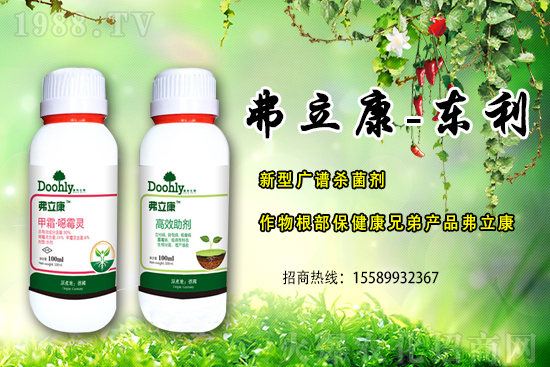 ���|���m(x��)�s1988.TV����(zh��n)�Ժ����Pϵ�������_�A��