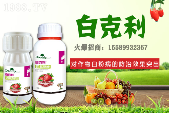 ���|���m(x��)�s1988.TV����(zh��n)�Ժ����Pϵ�������_�A��