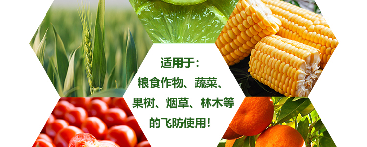 �w������_17