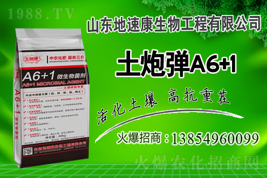    �����P(gu��n)ϵ�����A��ɽ�|���ٿ��c1988.TV�_(k��i)����ƪ�£�