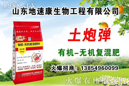    �����P(gu��n)ϵ�����A��ɽ�|���ٿ��c1988.TV�_(k��i)����ƪ�£�