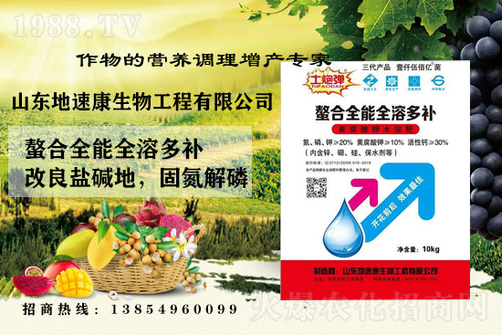    �����P(gu��n)ϵ�����A��ɽ�|���ٿ��c1988.TV�_(k��i)����ƪ�£�