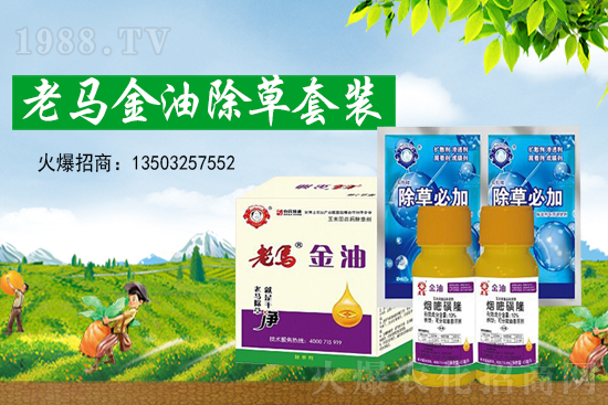 草甘膦價(jià)格創(chuàng)新高，2021年7月15日草甘膦價(jià)格走勢(shì)