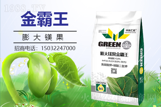 �r(n��ng)���W(w��ng)ϲӭ�����ѣ��Ј�R��(r��n)���s1988.TV�y�ִ����������E��