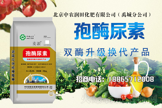 ��(z��i)�����Ｐ�r(sh��)��ˮɢ�����ƌW(xu��)�������ò��x������