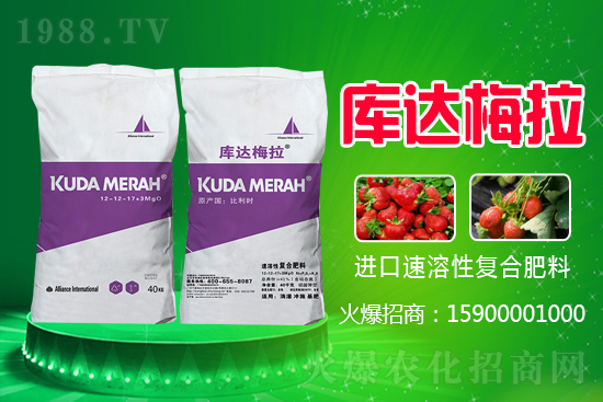 �ͺϷ��ǵ�߀�ǝq�����ڏͺϷʃr�������߄ݣ�7��27�գ�