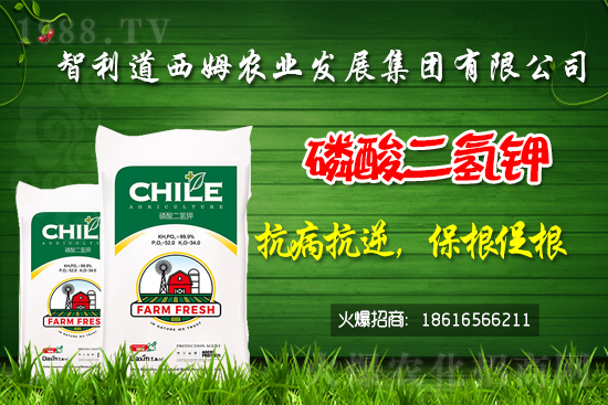 ��������ķ�ٺ�1988.TV���_(k��i)���W(w��ng)�j(lu��)������ģʽ��