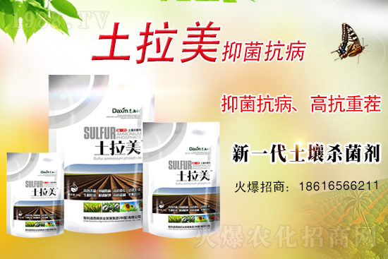 ��������ķ�ٺ�1988.TV���_(k��i)���W(w��ng)�j(lu��)������ģʽ��