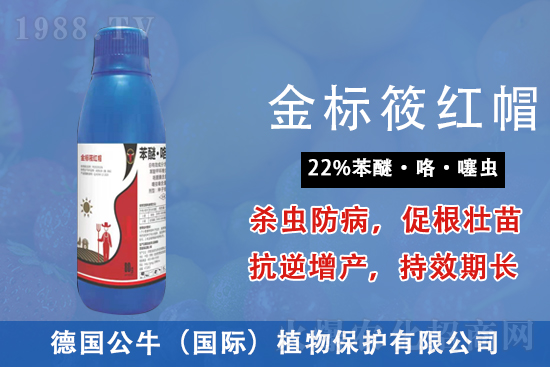 ɏź�������r(ji��)������2021.8.11