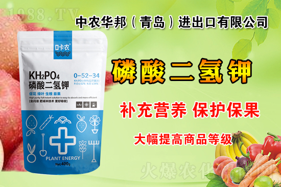 ���r(n��ng)���W(w��ng)ϲӭ�����������r(n��ng)�A�(qi��ng)��(sh��)��(l��i)�u��