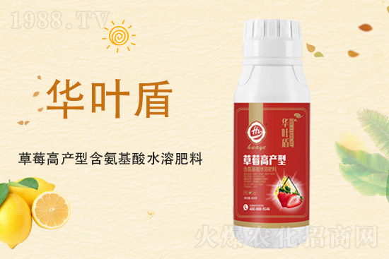 ���؃r���q��2021��9��18�����؃r�������߄�