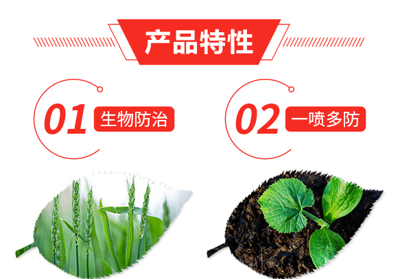 ��ʭ�^-�n����-Ξ���x(ch��ng)_03