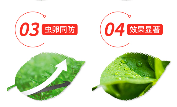 ��ʭ�^-�n����-Ξ���x(ch��ng)_04