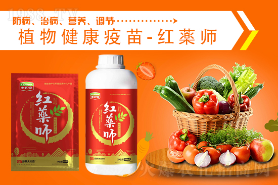 二銨價格高位堅挺，2021.9.4今日磷銨價格行情：