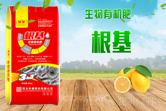 2021��9��6�Շ���(n��i)���׃r(ji��)������