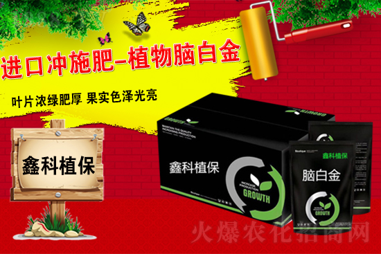 【鑫科植!孔4蠹以谛碌囊荒昀锷眢w健康,工作順利!