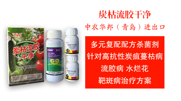 中農(nóng)華邦（青島）進出口有限公司2_03