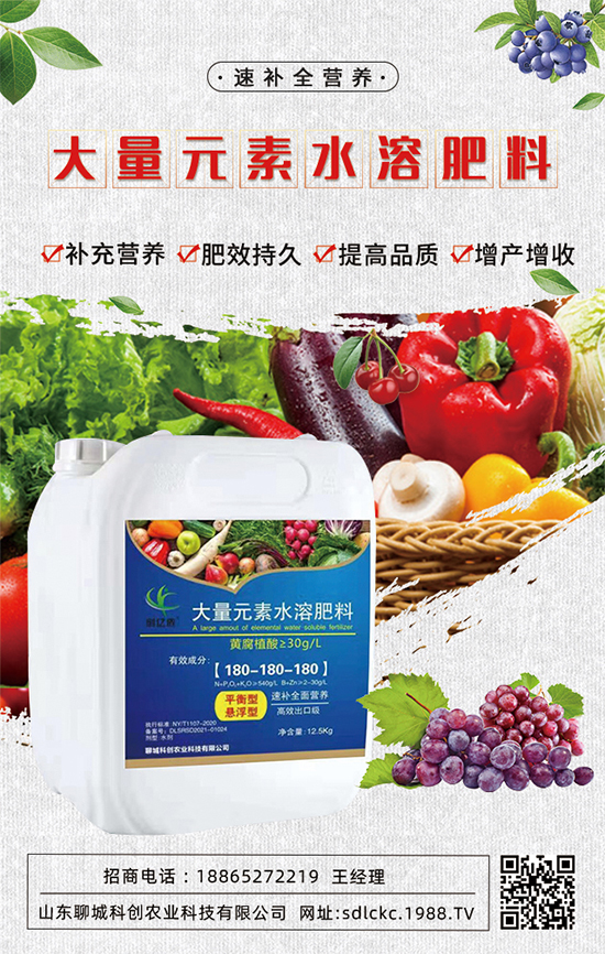 山東聊城科創(chuàng)再簽1988.TV,共謀合作促雙贏(yíng)!