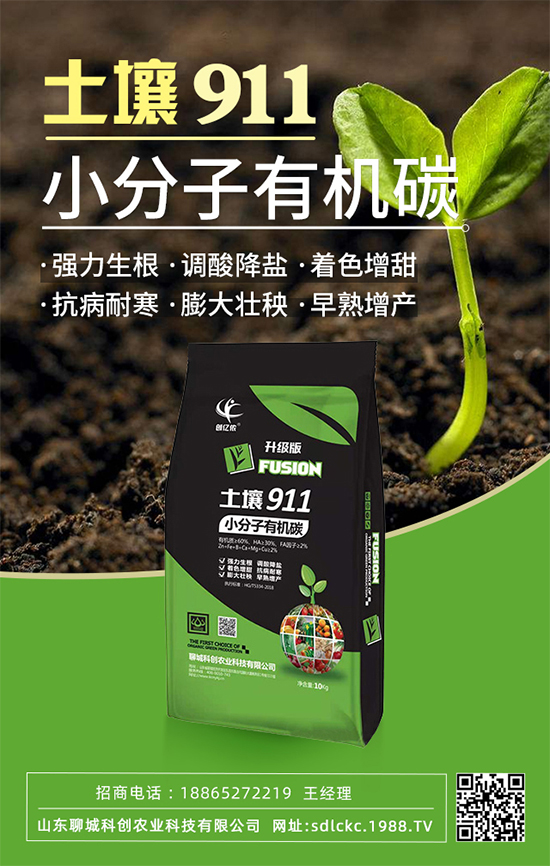 山東聊城科創(chuàng)再簽1988.TV,共謀合作促雙贏(yíng)!