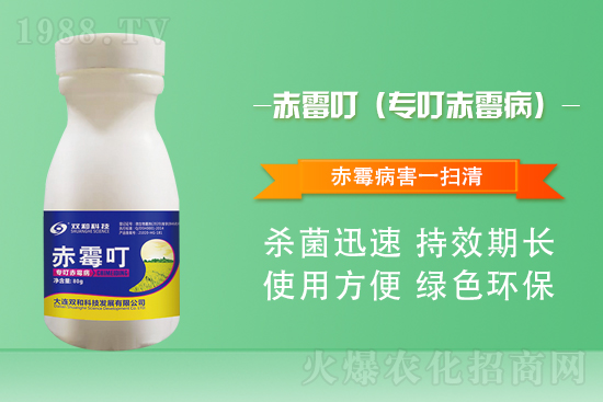 ����������(j��)�����B�p�ͿƼ��ٺ�1988.TV������(chu��ng)���x����