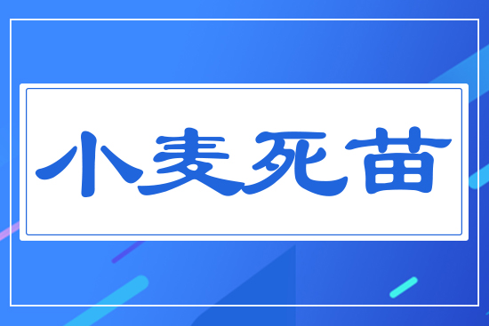 С������