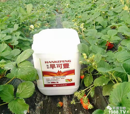 昕爵集團(tuán)82