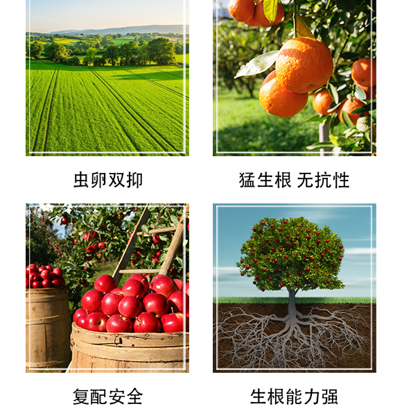 ������Ξ���x���W(xu��)���޹�˾-�δ�(d��)��_05