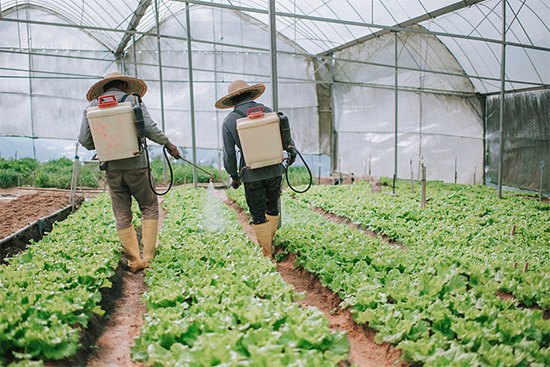 �ذ������ߌóɶ��N�I(y��)���[��(hu��)���n11��18��