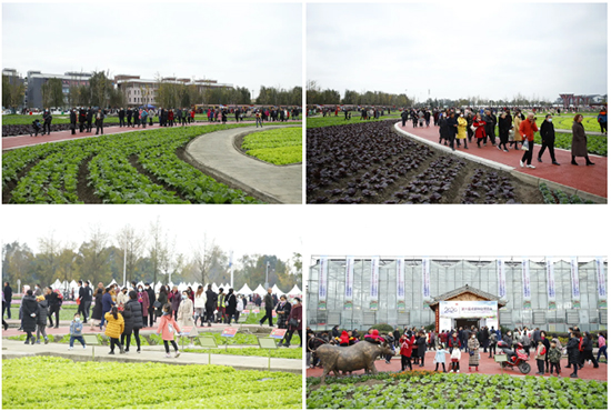 �ذ������ߌóɶ��N�I(y��)���[��(hu��)���n11��18��