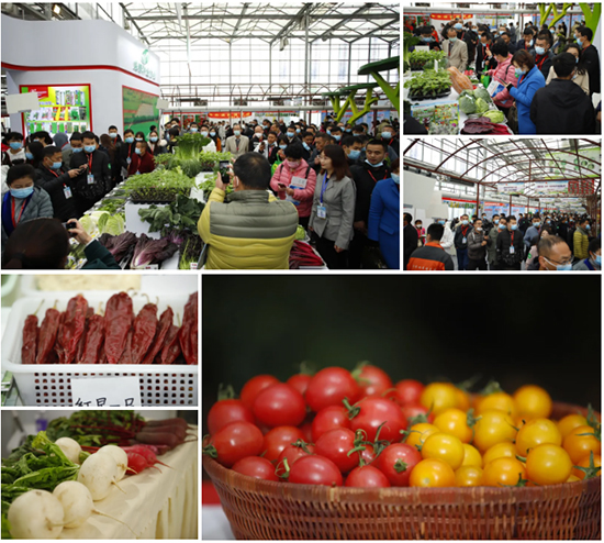 �ذ������ߌóɶ��N�I(y��)���[��(hu��)���n11��18��