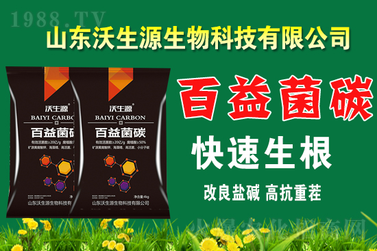 ���r(n��ng)���W(w��ng)ϲӭ������������Դ���ﺞ�s���v1988.TV��