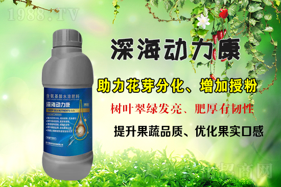 ���r(n��ng)���W(w��ng)ϲӭ�������������r(n��ng)�����s���v1988.TV��