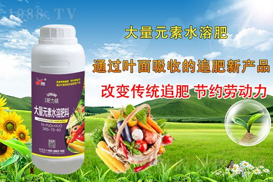 �����仨����������Ͳ��ü������l(f��)�������ٻ����������E���@��