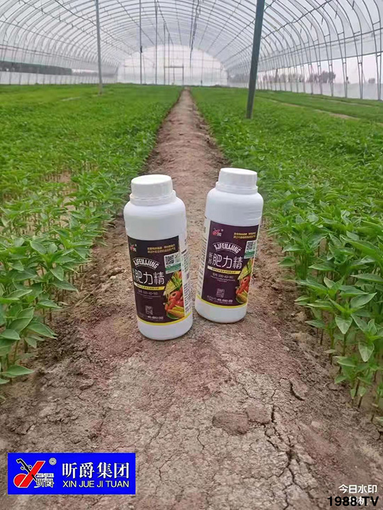 �����仨����������Ͳ��ü������l(f��)�������ٻ����������E���@��