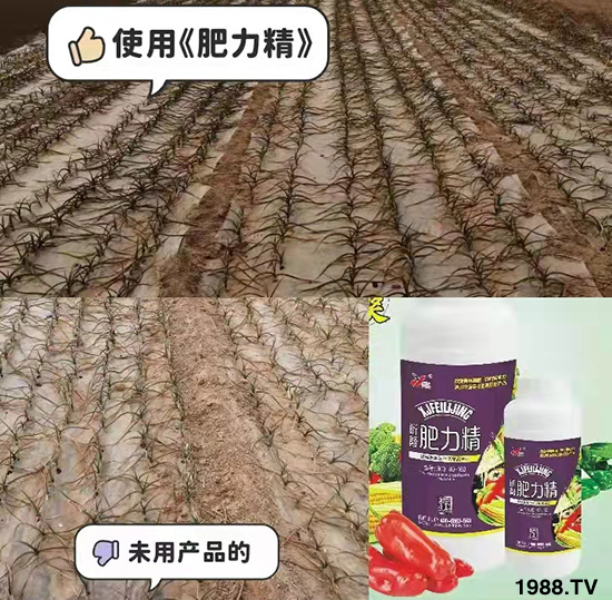 �����仨����������Ͳ��ü������l(f��)�������ٻ����������E���@��