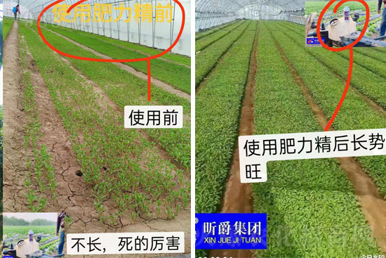 �����仨����������Ͳ��ü������l(f��)�������ٻ����������E���@��