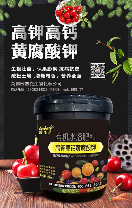 һ���S�����=�����������������ЙC�ʣ��S����⛞�����������