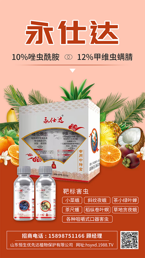 С�˶��η����y��С�˶�Σ���Y����δ�ʩ��