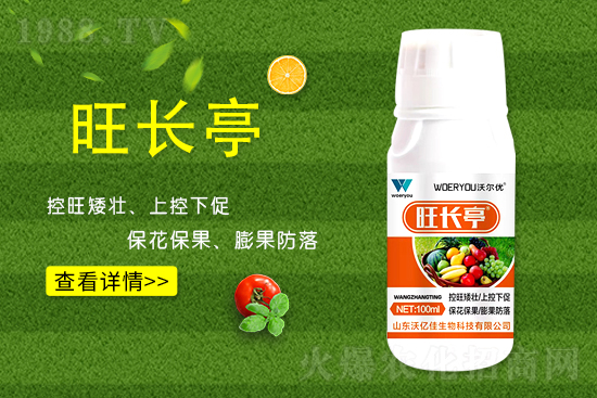 ʲô���S�����L���S�����L�ķ��ش�ʩ