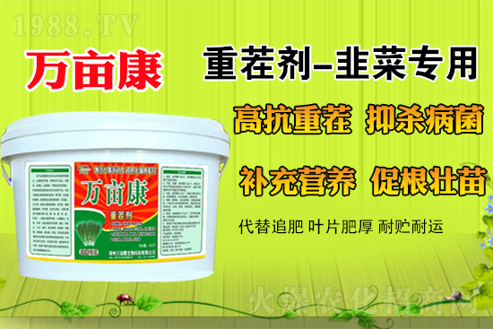 �²�ʲô�r(sh��)��N�����m������¶�ؾ²˹���������ע�����(xi��ng)