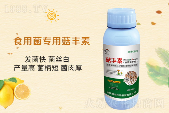 ƽ������Ҫ�c����Ҫע����Щ�����