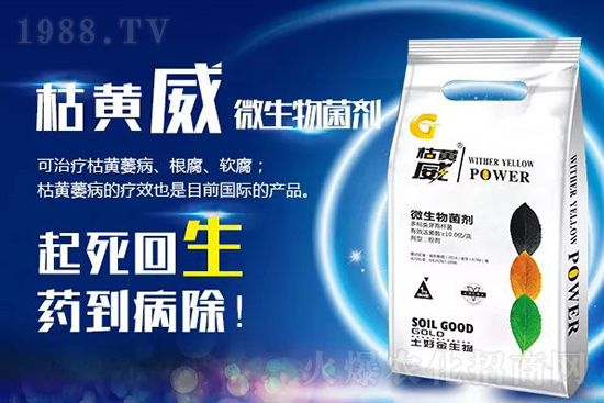 枯黃萎、立枯等病害怎樣滅殺？用它就夠了！