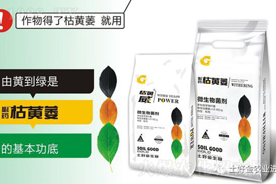 枯黃萎、立枯等病害怎樣滅殺？用它就夠了！