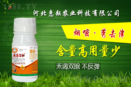 �⚢�pЧ�����ͨ�������������ӛס�@��(g��)�䷽�͉���! 