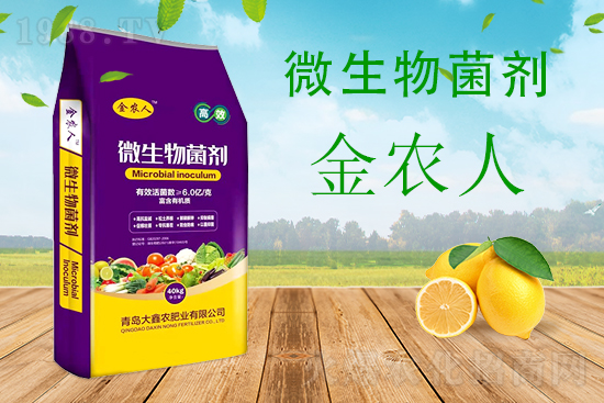 С���ƌW(xu��)����������������ԓ��ô����