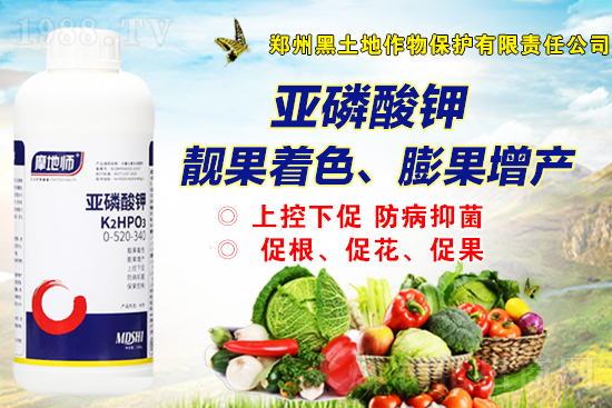 2022.37國內(nèi)磷銨價(jià)格行情快訊