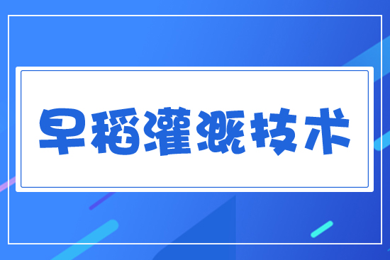 �絾��ȼ��g